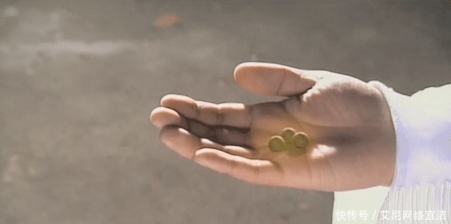 鸿钧|鸿钧给元始天尊三人吃毒药是何原因?