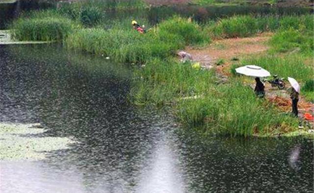 夏季|夏季野钓,钓位选择要灵活,天气不同、时间不同,出鱼位置有变化