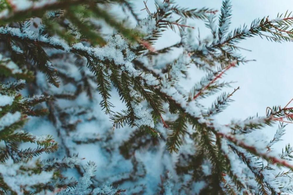  音乐|大雪时节：听10首雪的音乐，温暖你的心田