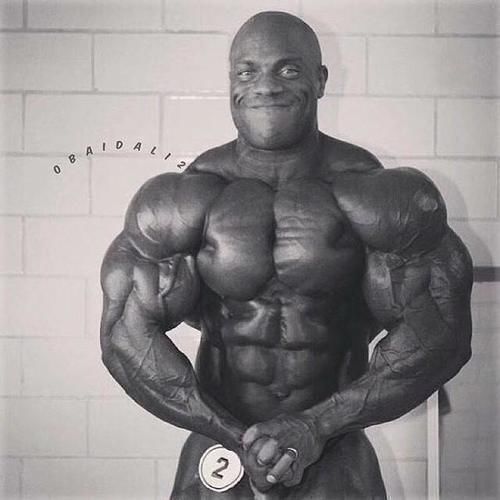 国外人|看看中国的肌肉男，再看看外国的肌肉男，差距不是一般的大