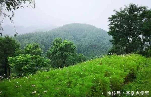 北京人假期去哪？高山草甸、峡谷湖泊、密林小溪..