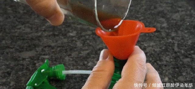 擦玻璃,不要用洗涤剂,家政阿姨教我一招,干净透明不落灰