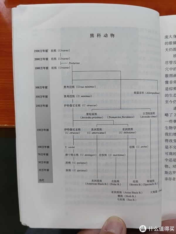 馆员！图书馆猿の2021读书计划62：《熊》