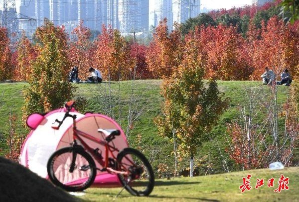 文华学院|校园“枫”景