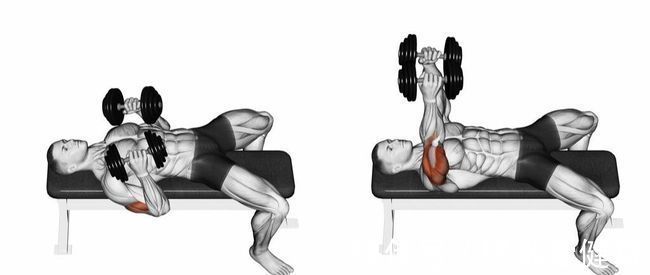 收缩感|哑铃卧推的4种训练方法,动作简单容易操作,更有效刺激整个胸肌