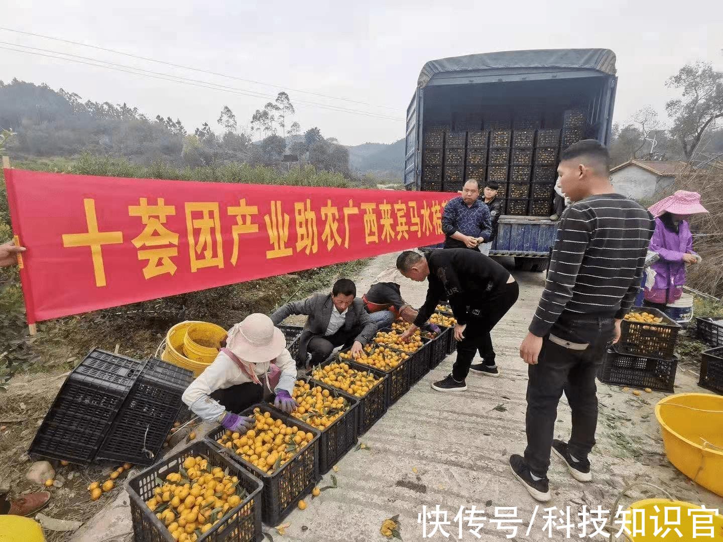 货物|阿里3次获人民日报褒扬，卖菜业务闯入前三，员工薪资却只发放50%