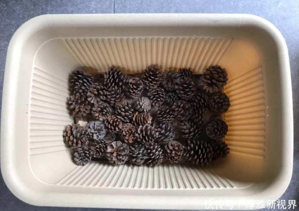 换盆用它垫盆底,养花效果非常好,花卉越长越旺盛!