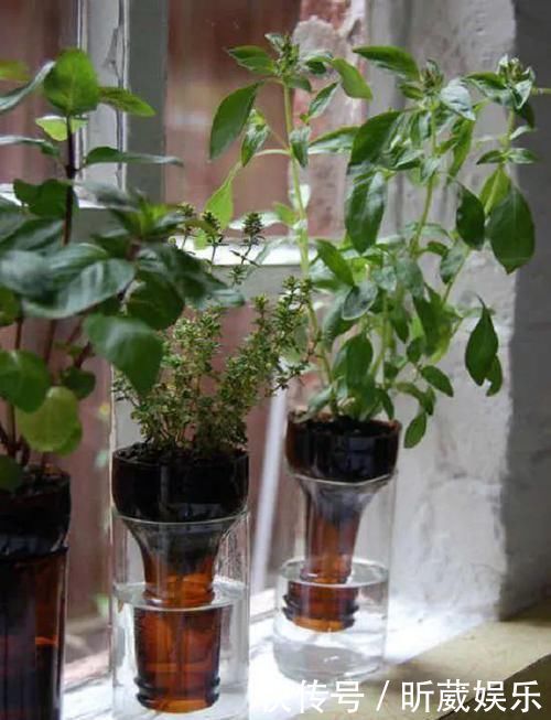 8个用塑料瓶制作的景观,有人觉得好看实用,但有人说丑爆了