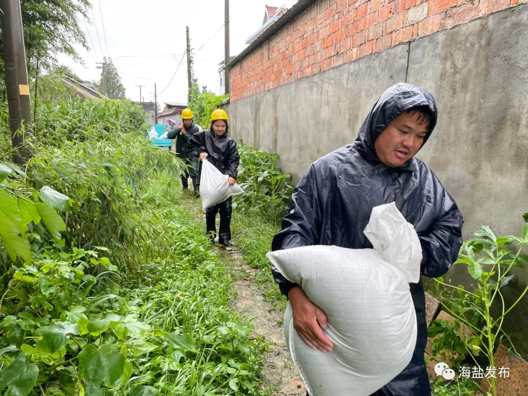 工作人员|海盐：风雨不停，我们不退！