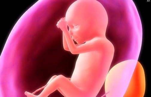 妈妈|胎宝也会肚子饿,孕妈收到这三种“信号”,说明需要补充能量了