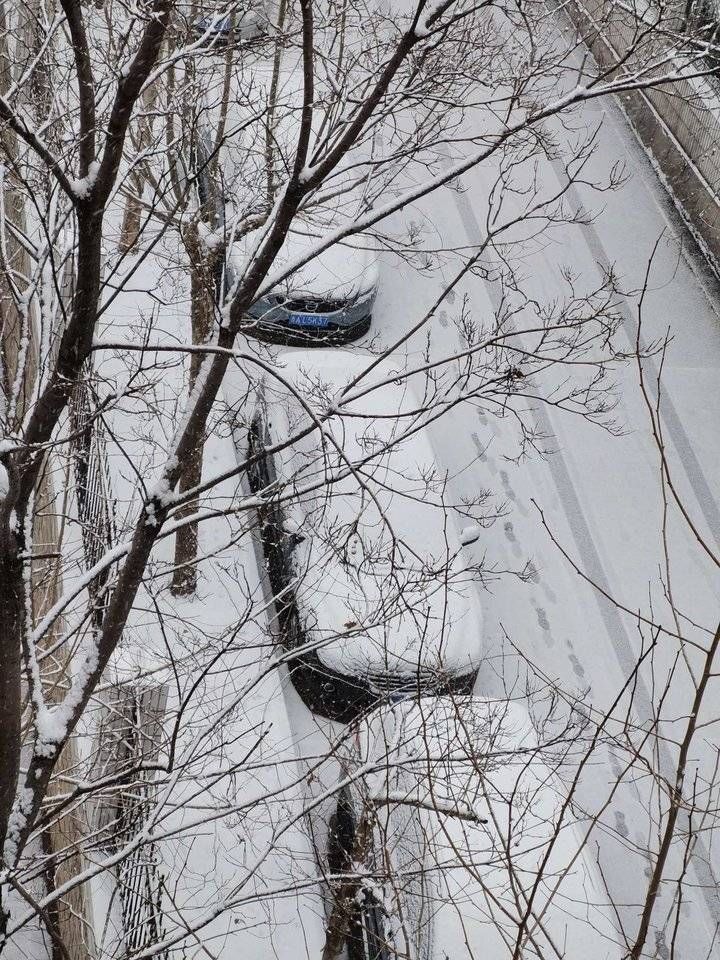 2022年济南第一场雪！漂亮的雪景请你欣赏