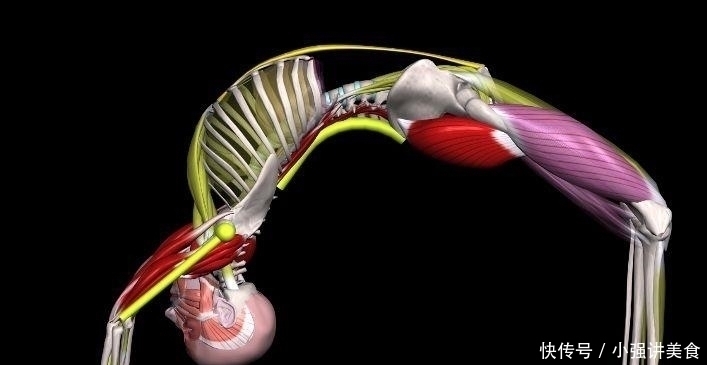 臀大肌|练瑜伽后弯体式,你的臀部肌肉到底要放松还是收紧?