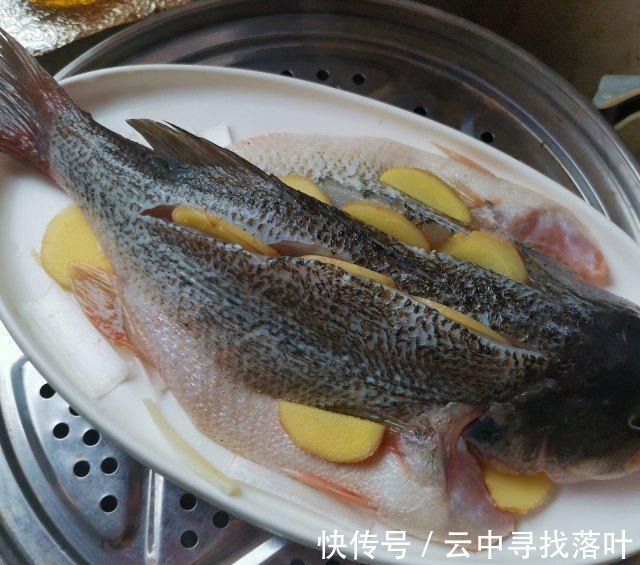 一道味道鲜美的清蒸鲈鱼，鱼肉鲜嫩！