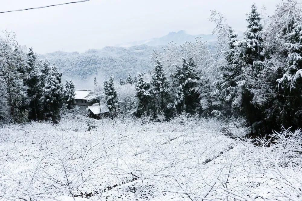 秘密|这个秘密只告诉你，刷爆朋友圈的广元雪景，都在这里了！