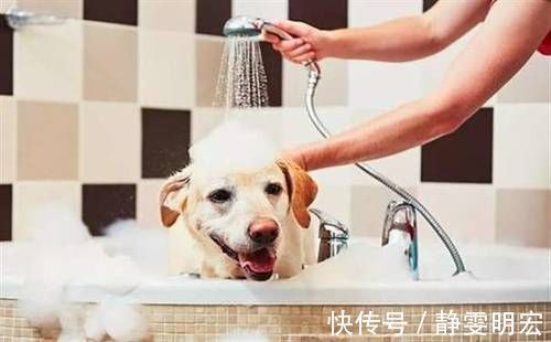 土豆皮|推荐一些日常生活小窍门，教你成为生活达人，每条都很实用的哦！