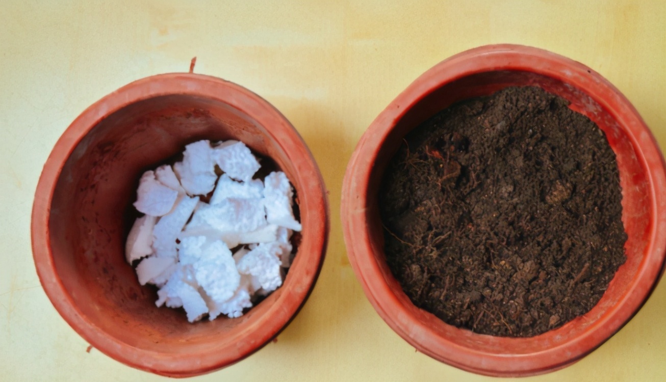 花友们|花土问题无小事，牢记3点，养花土不轻易结块，花根长得更壮实