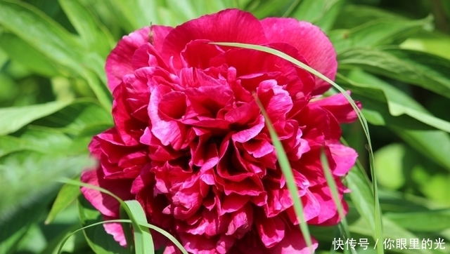 4 10是什么星座的啊