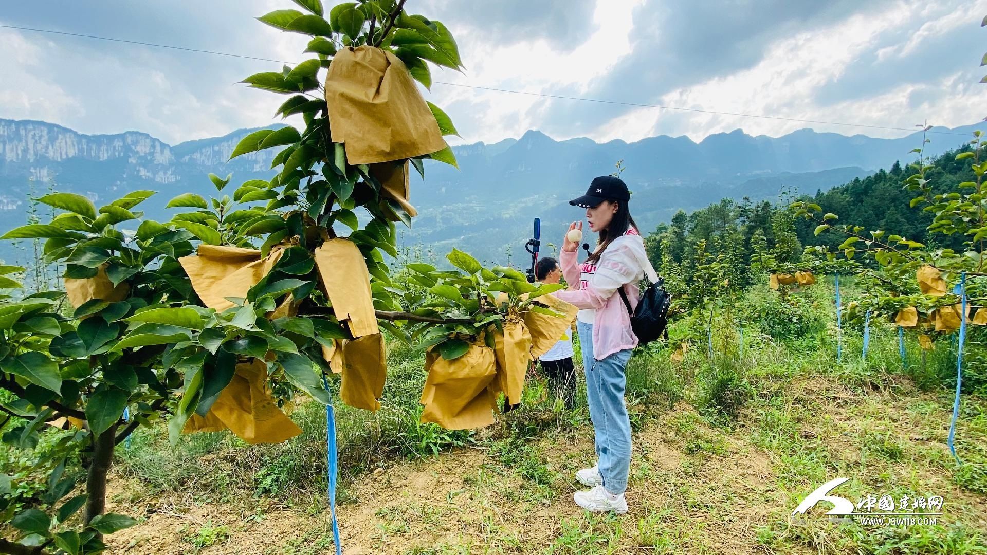 景阳|景阳等你来！美女主播带你云游如画清江