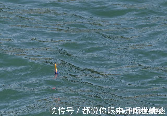 半目|鲫鱼都是送漂?谣言!这7种漂相都是鲫鱼吃钩,看你错过多少鱼