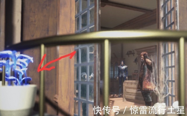 胡萝卜|斗罗大陆小舞食谱曝光,胡萝卜只是零食,唐三满阳台的蓝银草才是主食!