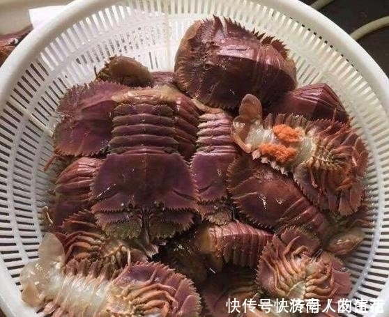 小七|朋友寄一箱“海鲜”,误以为是虾,本想扔掉,掰开后“惊喜满满”