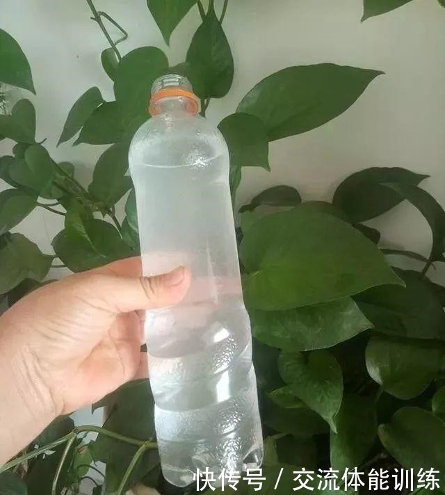 浇花水摻点它,比营养液、淘米水还肥,家里花草长得叶绿、花多!