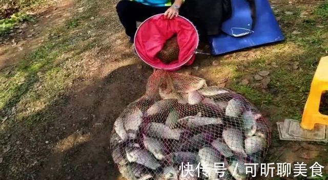 渔获|钓鱼打窝时，注意这3点，熟记5须知，钓好鱼不难