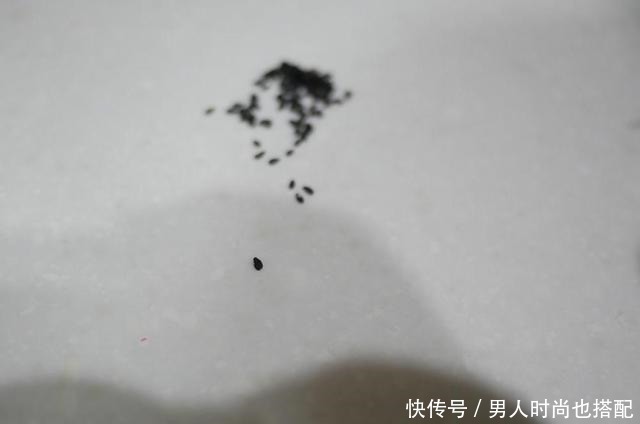  冷冻|自从学会做奶黄包，连吃一周还不够，家人都喜欢，一袋面粉见底了