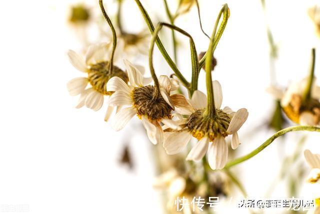 脐带|白挨一刀,还丢了宝宝!孕晚期的这个悲剧可以避免