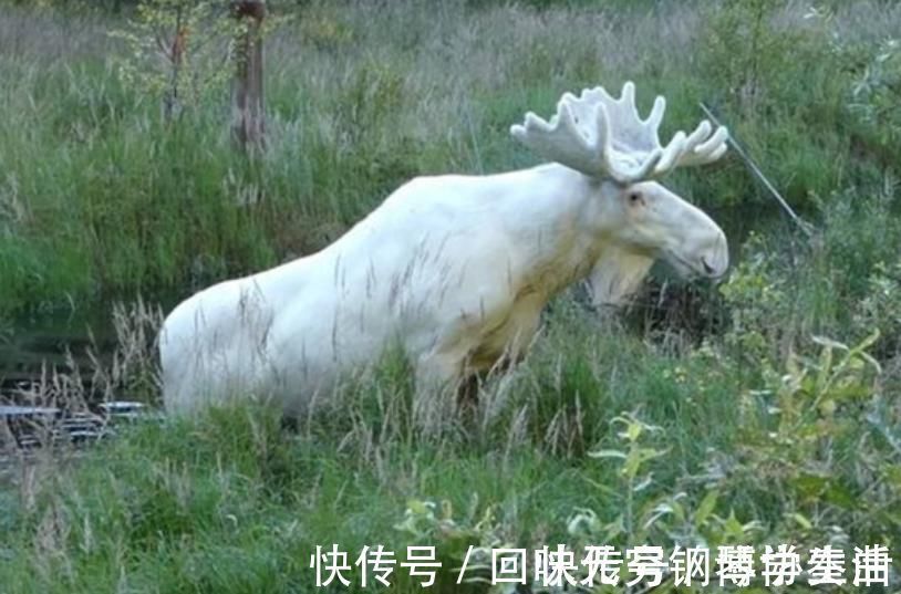 浮玉&天目山出土大量玉人，与山海经记载的山脉重合？专家：只是个巧合