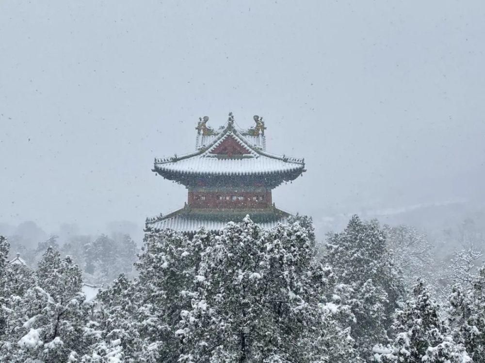 殊胜|雪少林，一场殊胜的相会