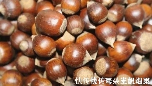 发物|玉米是胃炎的“发物”?医生:想胃好,或可常吃这几种食物