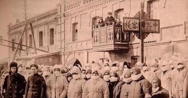 土拨鼠|1910年,清朝东北傅家甸爆发的鼠疫是怎样引起的,又是如何治理