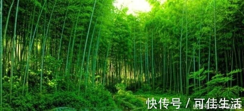 宋诗&苏轼喝醉了酒信手拈来,却是成就一首经典,通篇美得令人惊艳!