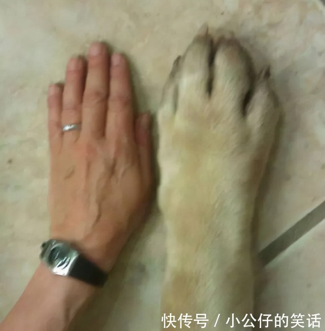 |幽默段子：追女主管半年，她不同意，一次公司安排职工体检后…