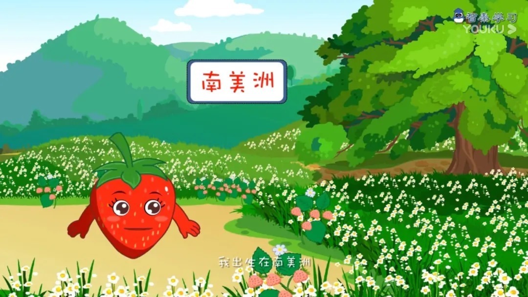 智秦数字出版集团|《植物动漫故事》动画学知识!