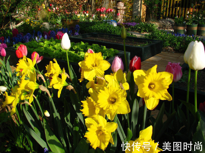 阳台上|为建花园,不顾反对买了一楼带院子,3年的亲手布置朋友都羡慕了