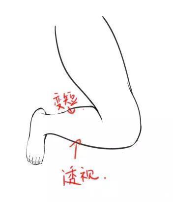 结构简|怎样才能画好人物腿部结构?零基础小白必看的干货教程