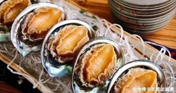 盘点几种极品海鲜，第三种被称为虾界的阿凡达，全吃过的是土豪