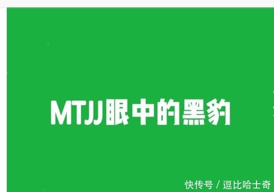 不懂就问，这满屏幕的豹，是王一博对其他塑的怨念实体化吗？