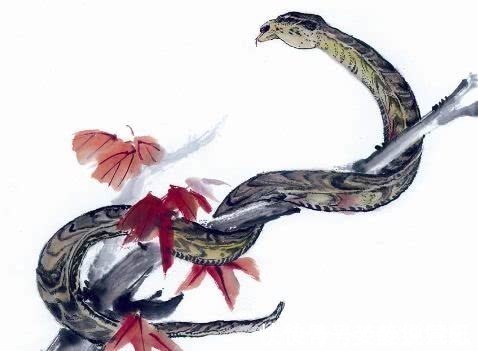 天生|妈妈是此3生肖,生的孩子天生智商高,日后成大器,家大财多