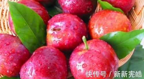 食物|女人愛美，常食以下食物，補血益氣，延緩衰老，改善皮膚