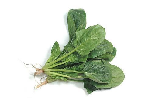 暗送秋“菠”的时节到了，你知道菠菜这样吃的营养价值才最高吗？