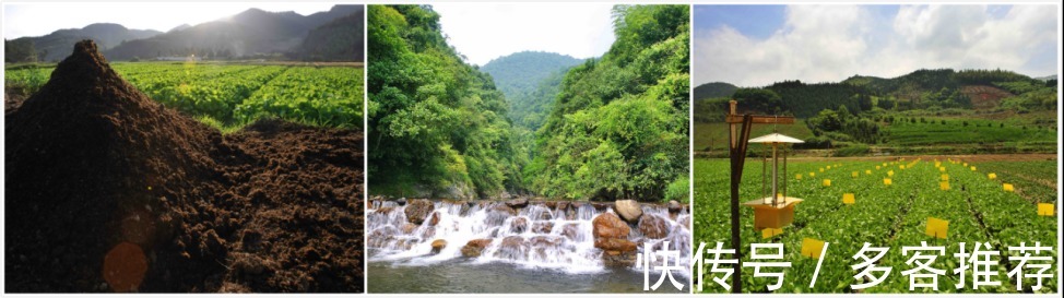 一方田|孩子暑假这样吃,个子全班长最快!妈妈们千万要知道