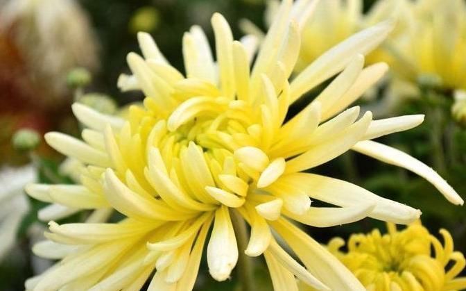 排毒养颜|人到中年想长寿,常吃3种食物,排毒养颜、滋润身体!