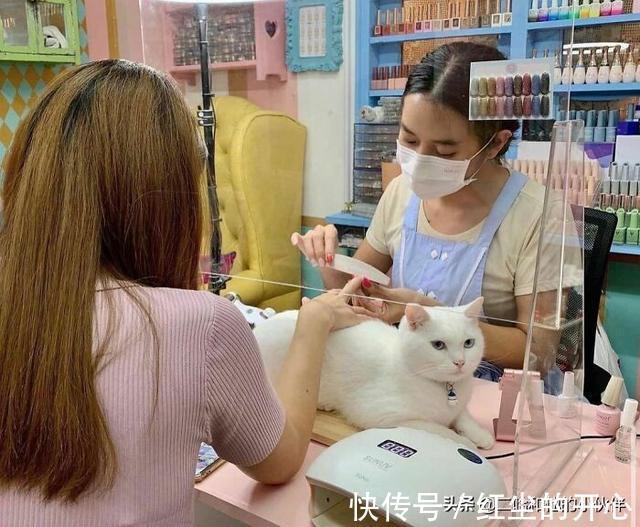 |网友分享的25个奇怪而搞笑的事情,你看过几件?