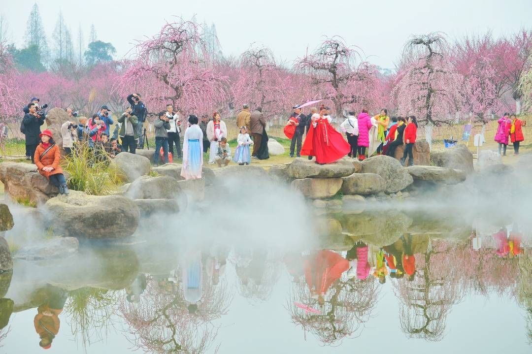 春日|又见花开都江堰 成都都江堰市6条春季精品旅游线路等你来打卡