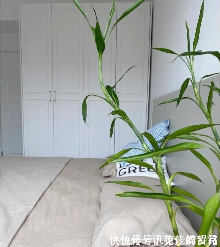 新家|业主的72㎡新家，“家徒四壁”却还坚持断舍离，越简单越舒适