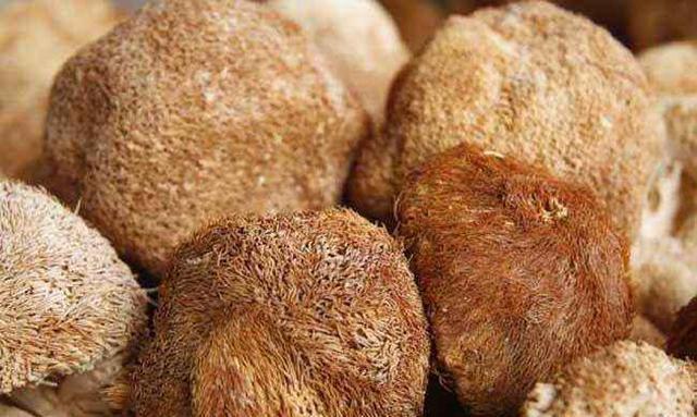 猴头菇|山楂是消化“帮手”还是伤胃食物?终于有答案了,快来看看