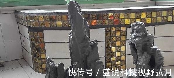 鱼池|偷偷在阳台砖砌鱼池, 邻居来玩, 去物业把我投诉了